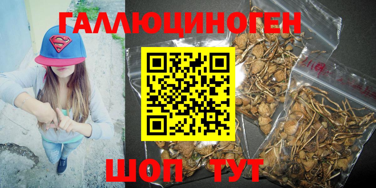 Псилоцибиновые грибы Psilocybe  Псилоцибиновые грибы Magic Shrooms  Краснознаменск  Вход с VPN 
